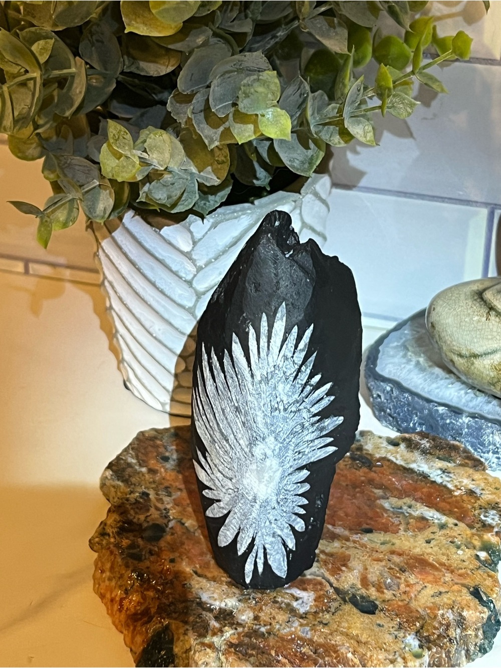 Chrysanthemum Stone - Picture 4 of 4
